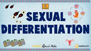 Sexual Differentiation | Introduction