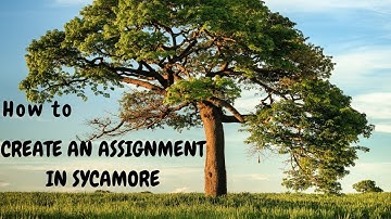 How to Create an Assignment in Sycamore
