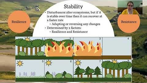 Unit 3.1 ESC - Part 4 Disturbances in Ecosystems Notes