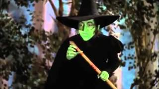 Hmv Spongebob Scardypants