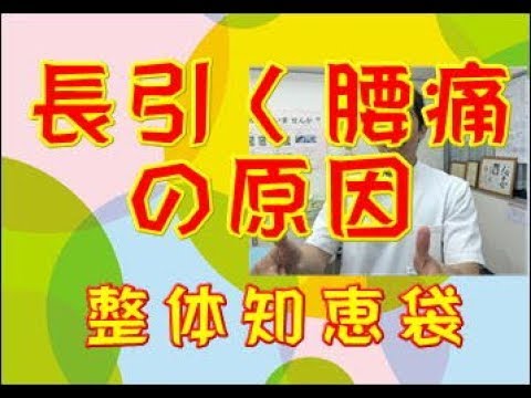 長引く腰の痛み「整体知恵袋.com」