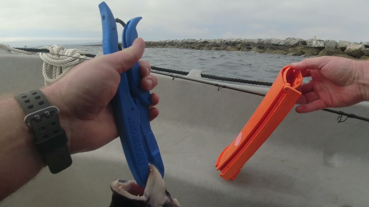 Whaly 435 fishing Long Beach