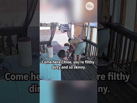 Cat mom breaks down when pet returns after going missing | Humankind #shorts #goodnews