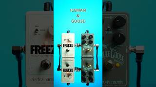 Ice Man & Goose