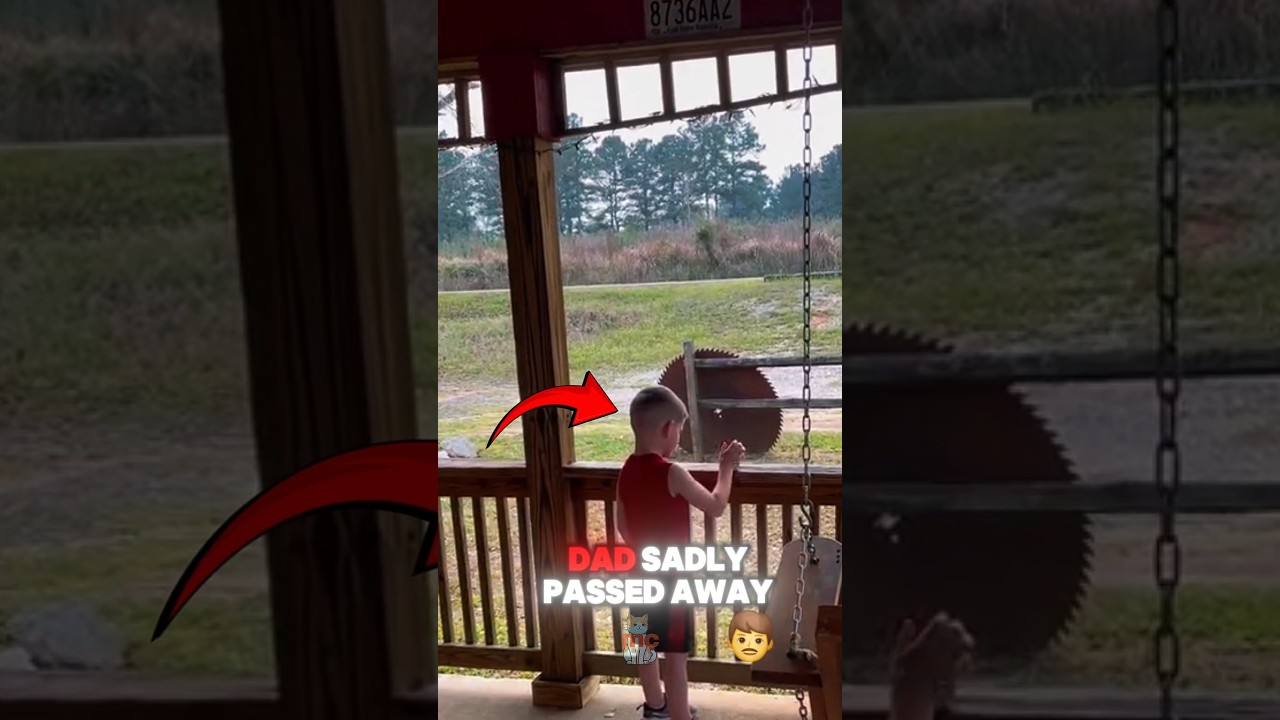 The boy becomes friends with a bird 🥹❤️ 