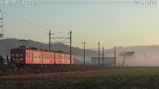 新ラッピング電車「土山たぬき」登場！（近江鉄道804F）　　　　　　　　　　　　巛巛