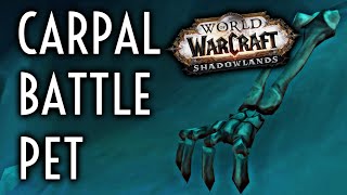 WoW Guide - Carpal - Pet
Carpal is created by obtaining 3 unique items in Maldraxxus and combining them, this guide will show you how!
Link to Pet Battle - https://www.wowhead.com/npc=173257/caregiver-maximillian#comments
If this helped be sure to Subscribe for more Guides and videos!
Link to my Twitter - https://twitter.com/AH_SeanR
Link to my Twitch Channel - https://www.twitch.tv/ahseanr
YouTube Banner and End card Art - https://twitter.com/MischiArt WoW Guide - Carpal - Pet