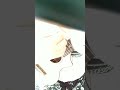 🎶雨のエアポート🎶ウクレレ弾き語り