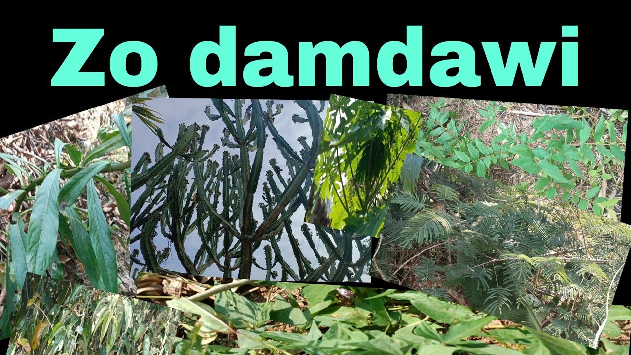 Hei le Zo damdawi hrang hrangte..Part-One