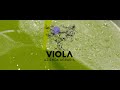 Viola: World&#39;s Best Monocultivaroliveoil 2021