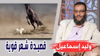 وليد إسماعيل| الحلقة 325 - اَلْمَهْدِي/ قصيدة شعر قوية من شاعر القناة 💪