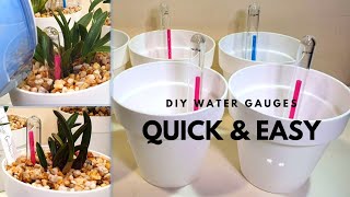 DIY Reservoir Gauges | Making water level indicators - Semi-Hydro & Self-Watering pot hack!