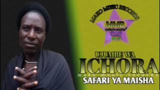 safari ya maisha __ ichola by Makolo studio