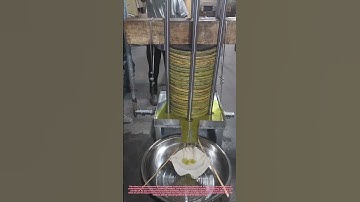 The Art of Extracting Camellia Oil