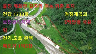 1,733 pyeong of land bordering a pristine valley within a state-owned forest at the uppermost rea...