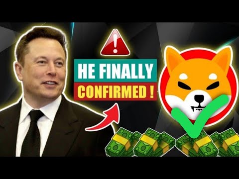 Sebelum Menyesal, Cepat Lakukan Ini Pada SHIBA INU Kalian !