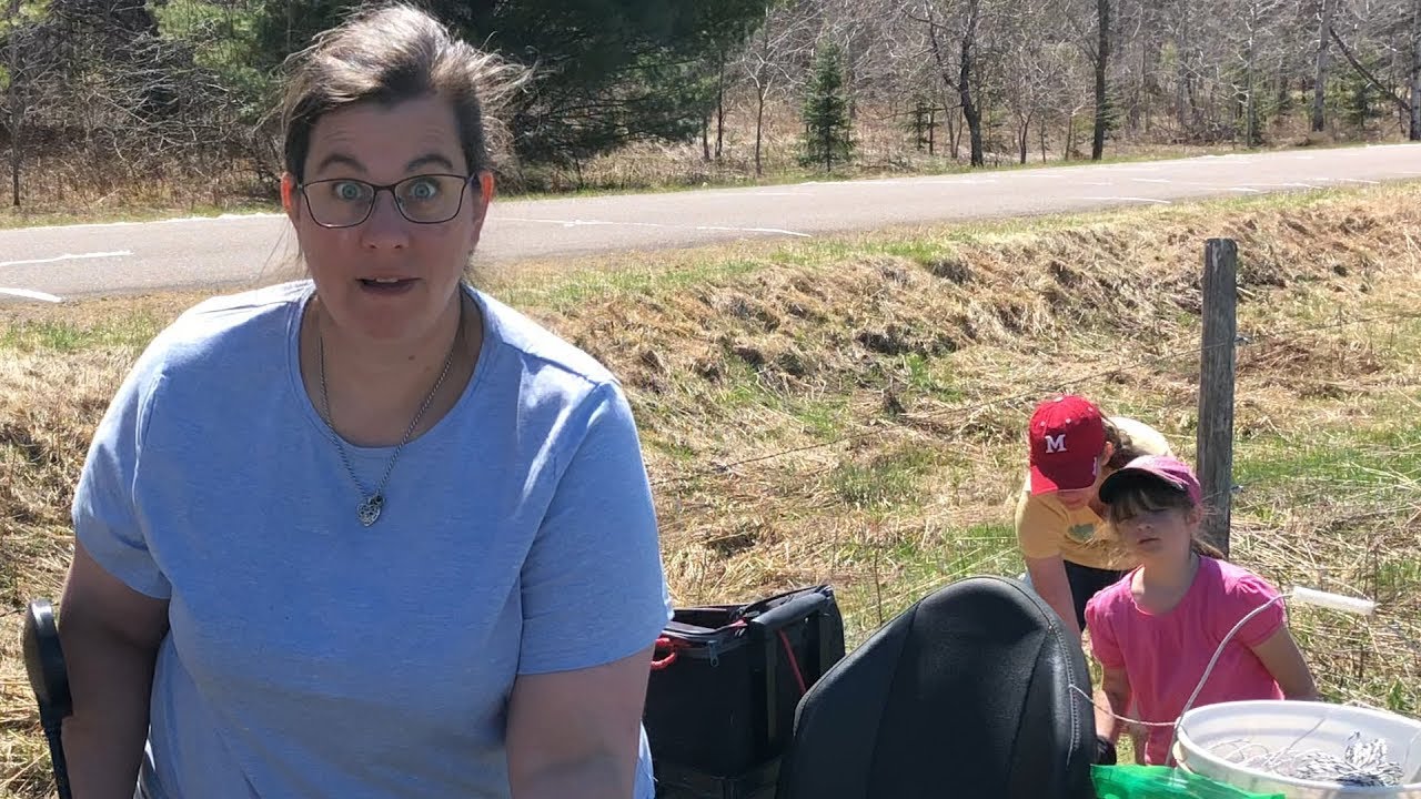 Heeeeerrrreeesss The DON | A Big Family Homestead VLOG - YouTube