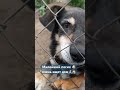 19 07 2025 вы только посмотрите какой он милый 19 07 2025 вы только посмотрите какой он милый