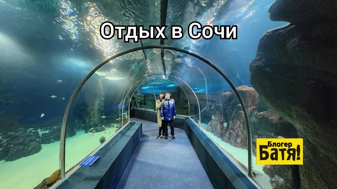 Сочинский океанариум. Круть крутая. 