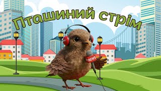 картинка: 