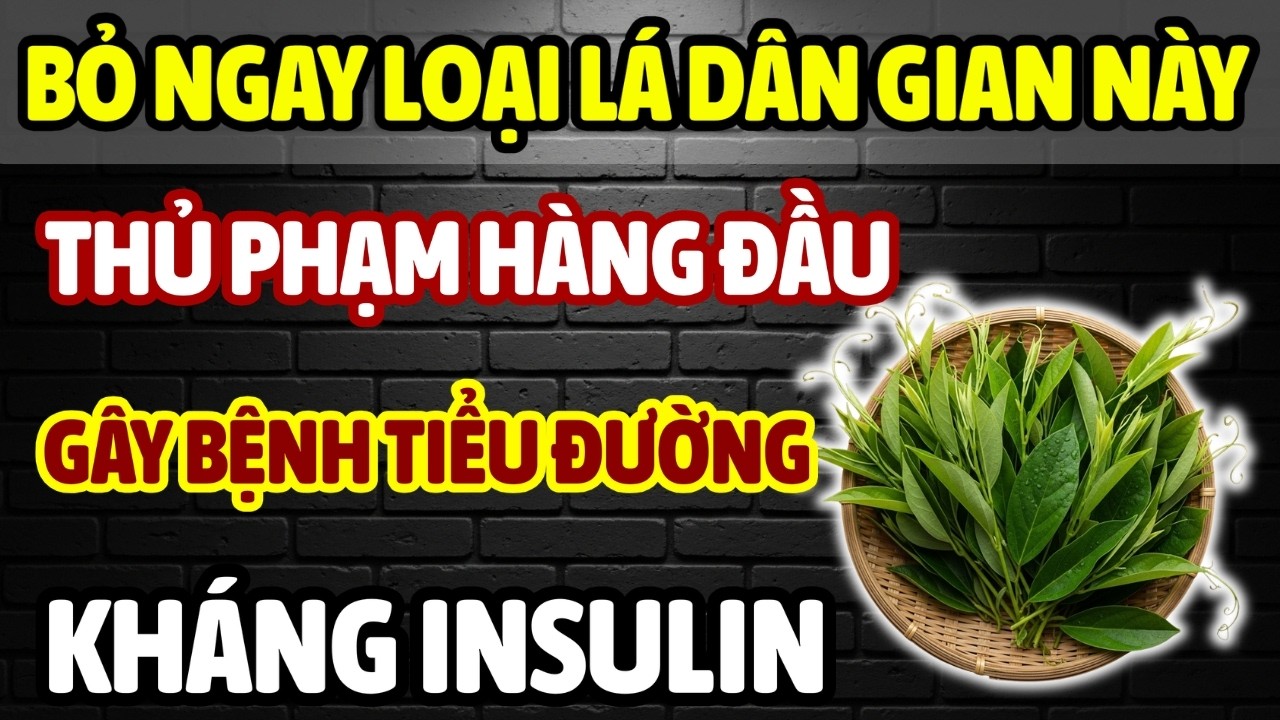 NGƯỜI TIỂU ĐƯỜNG: CẨN THẬN VỚI 7 LOẠI LÁ DÂN GIAN NÀY VÌ NÓ LÀM TĂNG ĐƯỜNG HUYẾT, GÂY KHÁNG INSULIN!