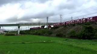 【東海道本線貨物列車/豊川放水路橋梁】5099レ EF66-124&2062レ EF210-117