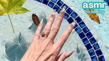 ASMR 🪴Tap/Scratching in a Backyard & Garden!!🪏🍋 