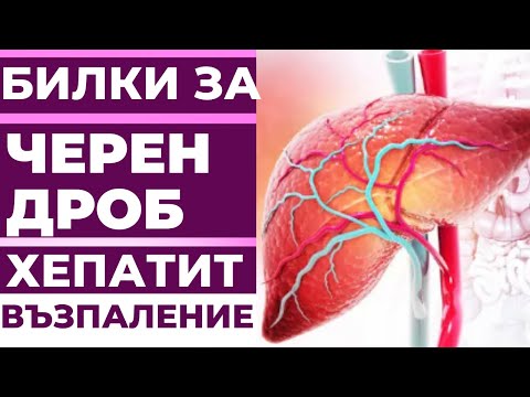 Видео: Запознайте се с Черната лаборатория, която помага за възстановяване на наркоманите