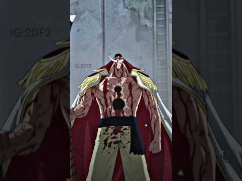 من الأقوى كايدو ام وايت بيرد