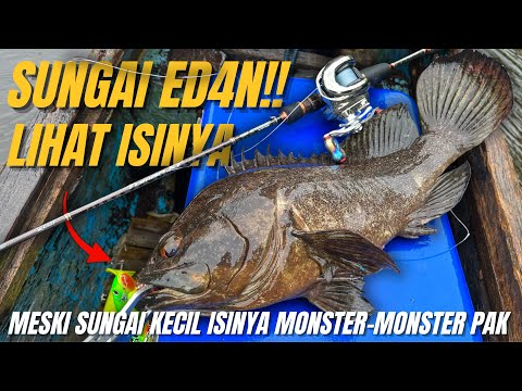 NGAWURR😱‼️MAU PUTUS SAMPAI BERAPA KALI‼️SUNGAI SEKECIL INI ISINYA IKAN MONSTER SEMUA‼️GIL4KK😱🔥