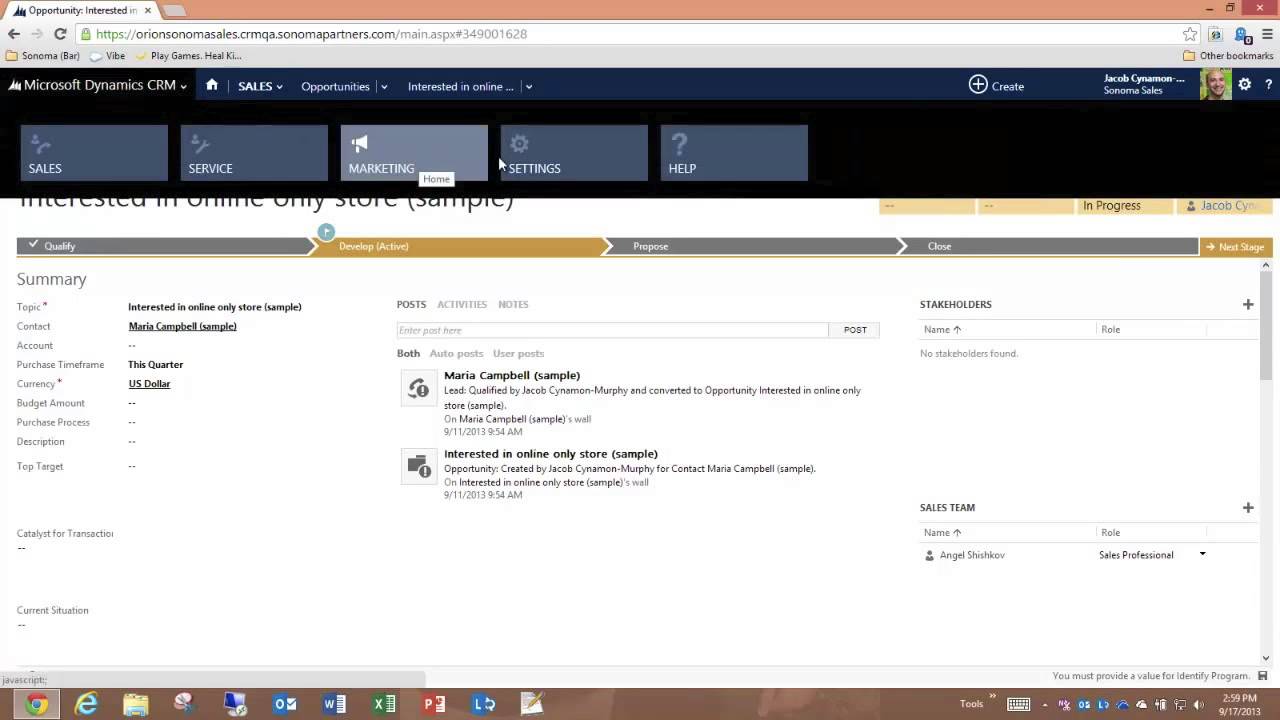 Microsoft Dynamics CRM 2013 for Access Teams