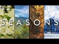 Saisons  origine et variation  travers la terre types de saisons par zone climatique