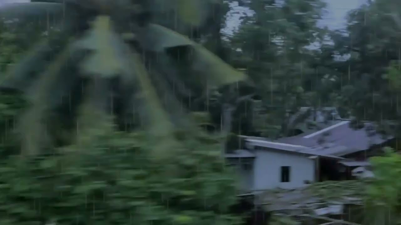 Сильный дождь в парке и на рисовых полях успокаивает сердце и разум.