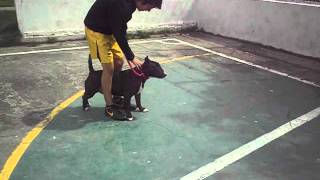 100_0677.AVI