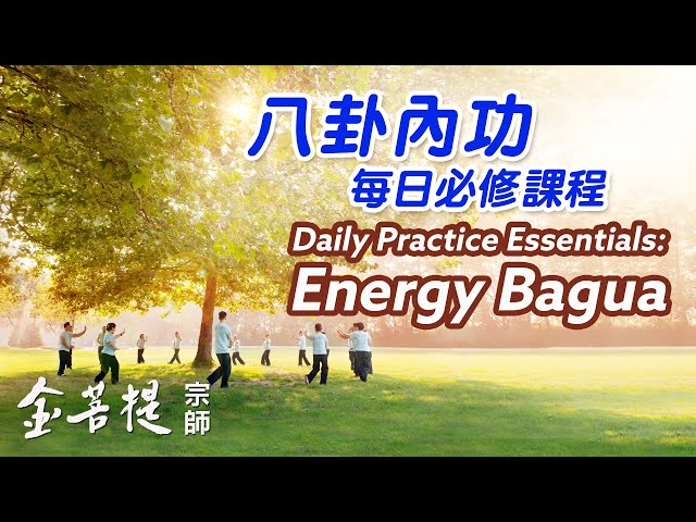 Energy Bagua Daily Practice Lessons class=