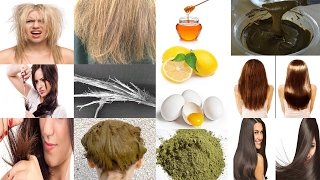 Home Remedies For split ends, Dry, Frizzy, Rough and Damaged Hair | How to Treat Split ends Hair