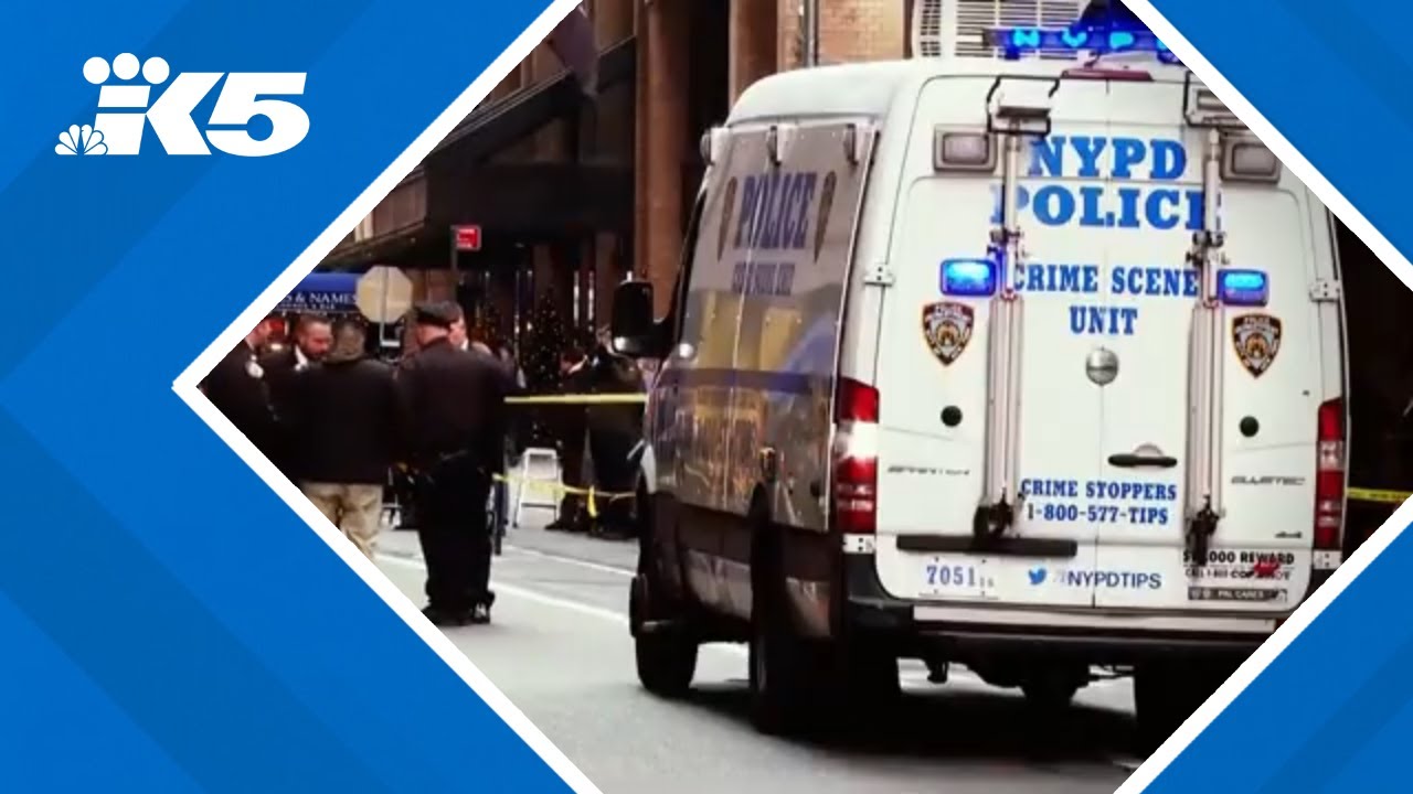 Evidence gathering in UnitedHealthcare CEO killing - YouTube