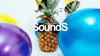 Pineapple – Roa (No Copyright Music)