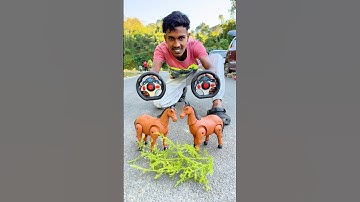 Remote Control Horse Video Dako 😱 #animals