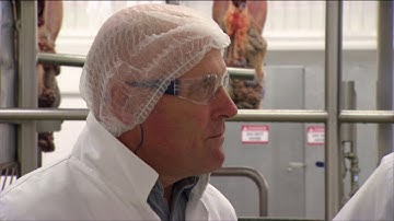 Robotics for Sheep Processing
