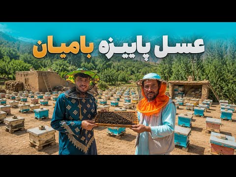 Village to Village - Producing the Best Autumn Honey in the Mountains of Bamyan Province