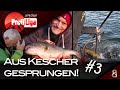 Dicke Barsche und Kescher-Action! Profi-Liga S5F3