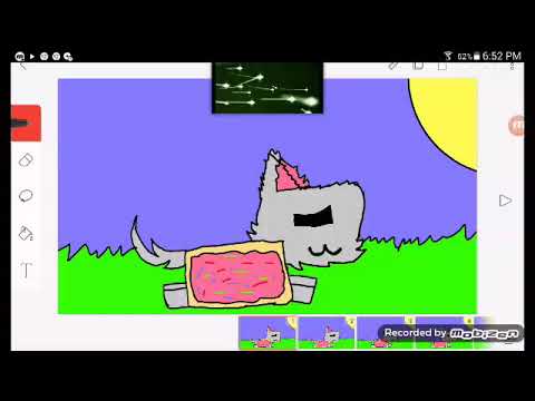 Nyan Cat X Tac Cat Nyan Cat X Tac Cat