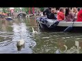 Utrecht, NL: Ep.4.3 Grumpy Geese
