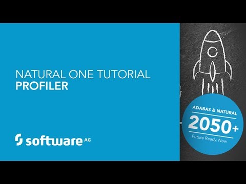 Natural ONE Tutorial - Profiler