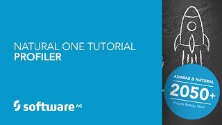 Natural ONE Tutorial - Profiler