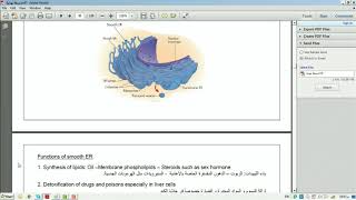 biology1 chapter7(part2) : cell structure and function