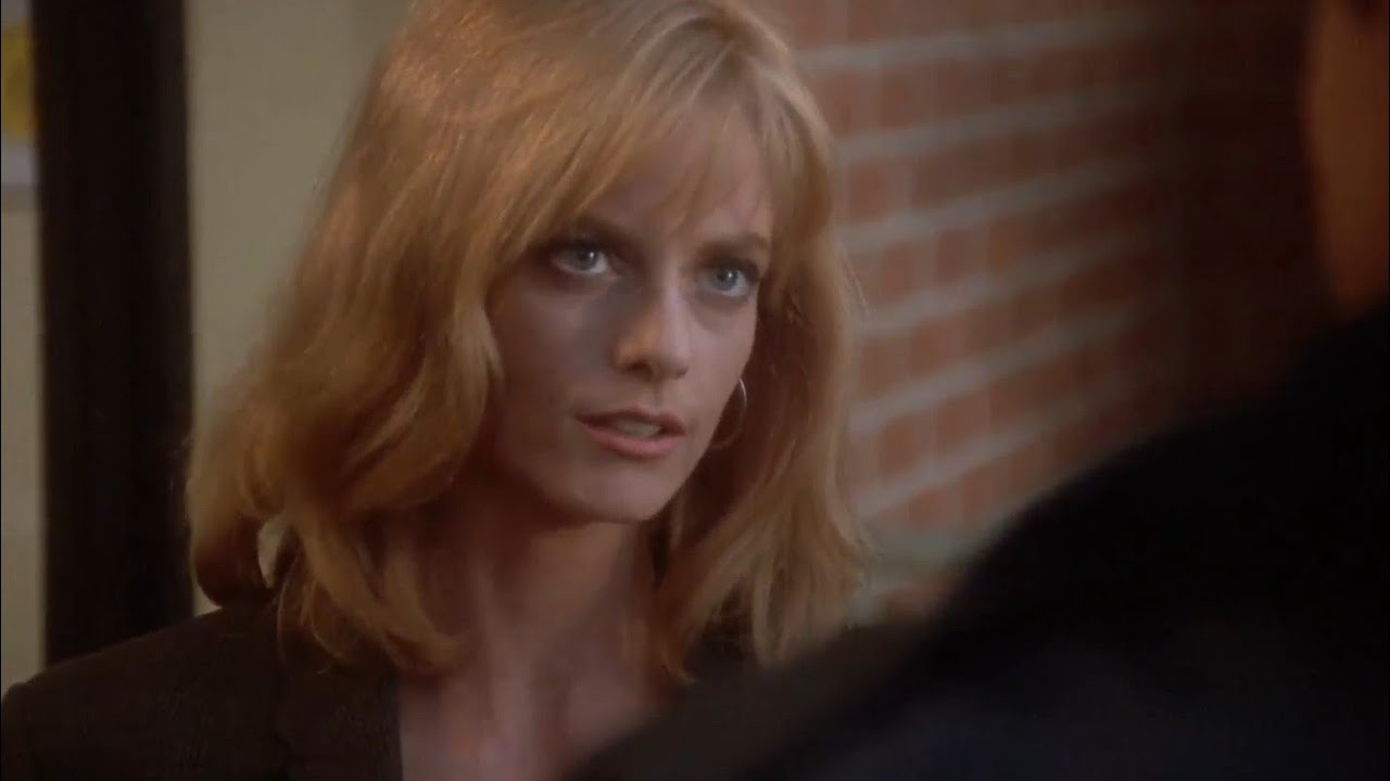 Picket Fences (1992) | S01E01 | Pilot [05/20]