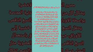 نص علمي حول مصير النسغ داخل النبات الأخضر أولى متوسط