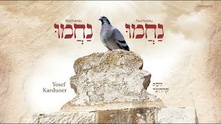 יוסף קרדונר - נחמו נחמו